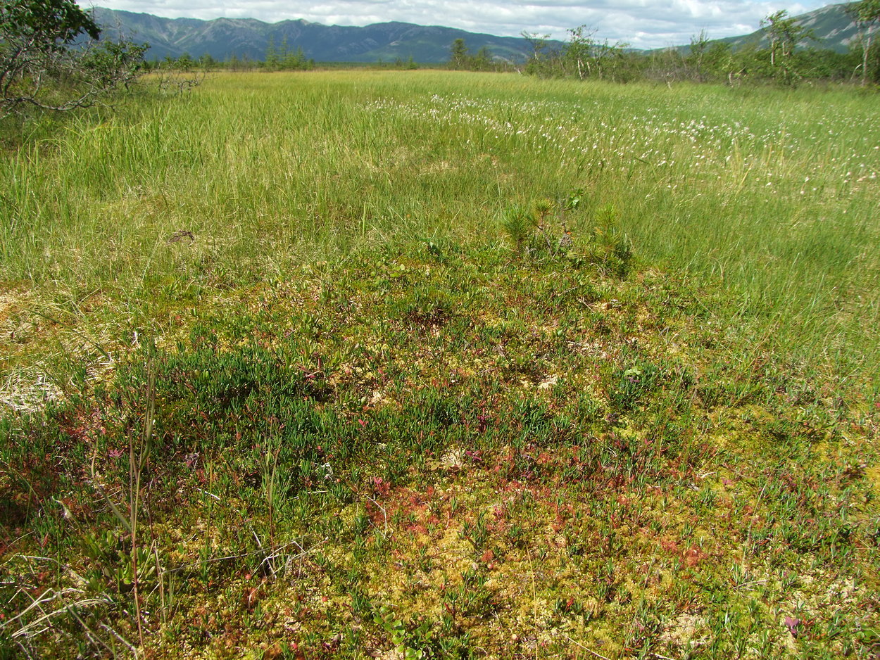Глухое, image of landscape/habitat.
