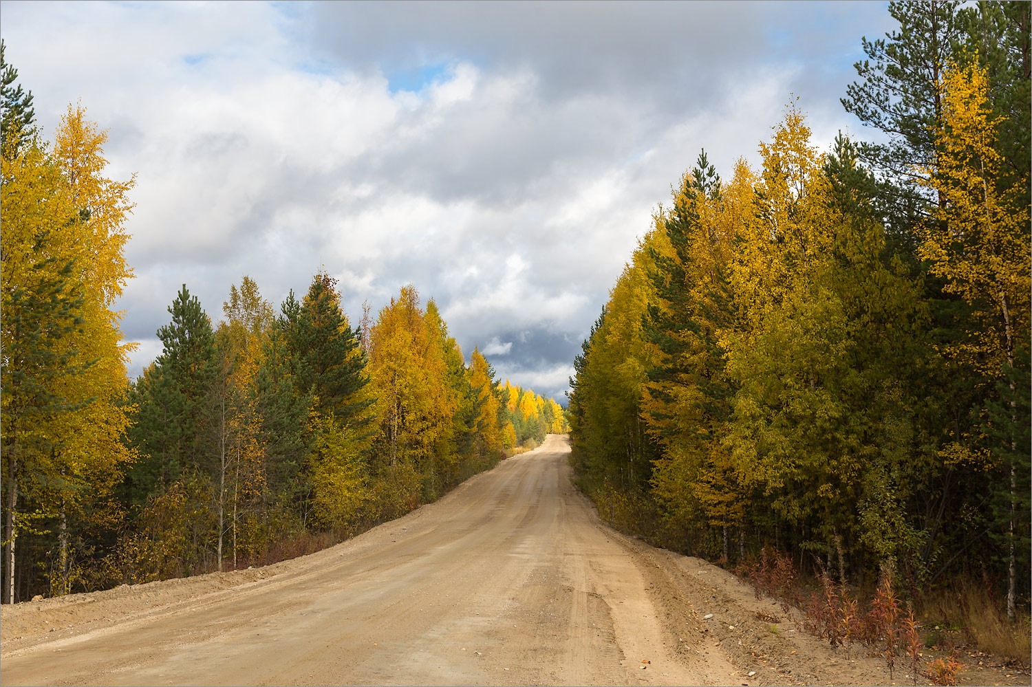 Сегозеро, image of landscape/habitat.