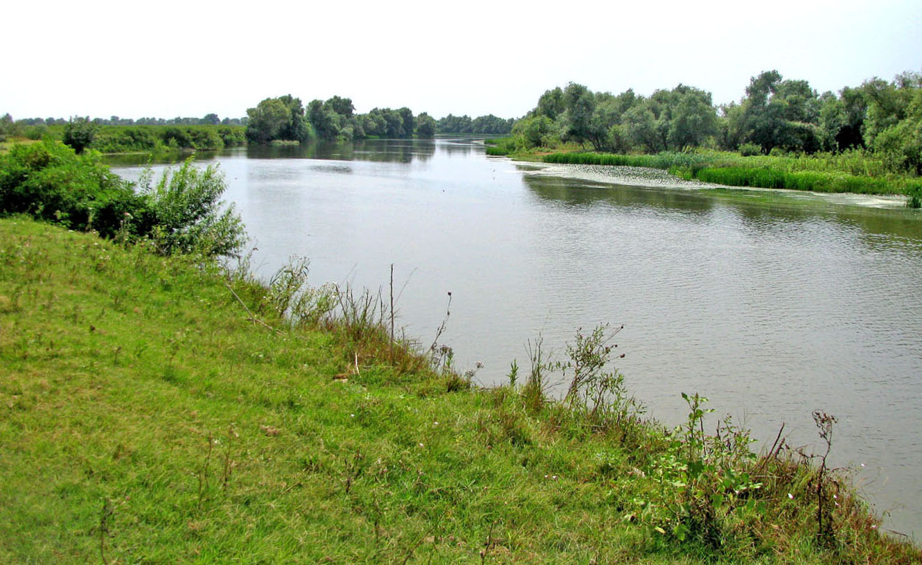 Бузан, image of landscape/habitat.