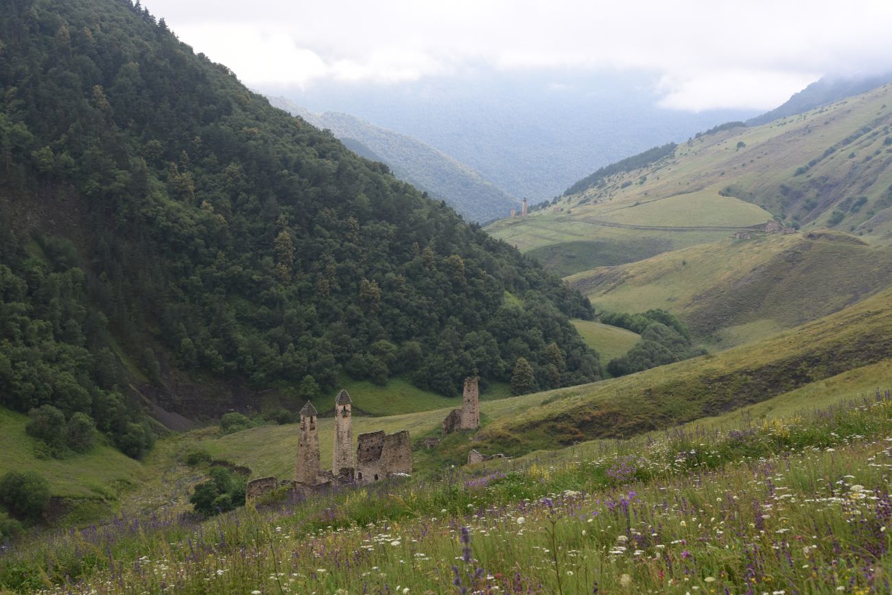 Урочище Хяни, image of landscape/habitat.