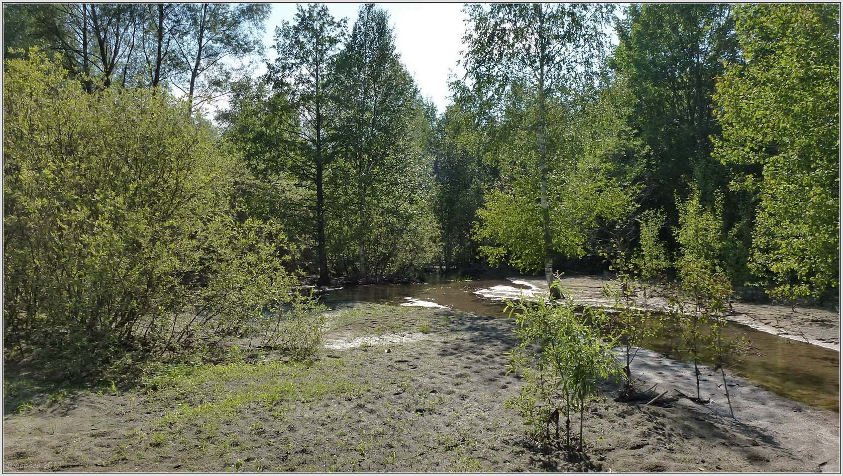 Пойма р. Паланка, image of landscape/habitat.