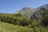 Image of landscape