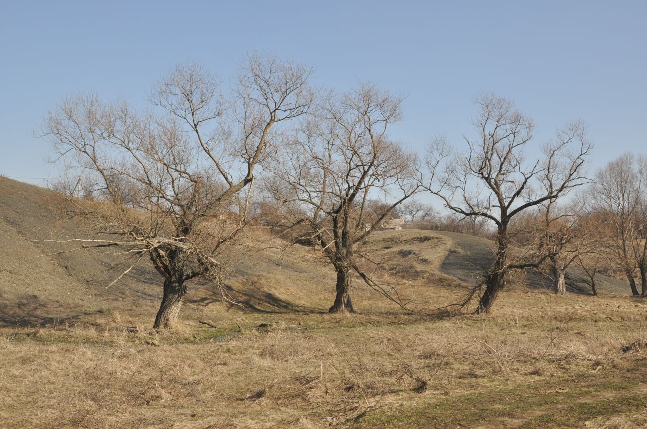 Свердловск, image of landscape/habitat.