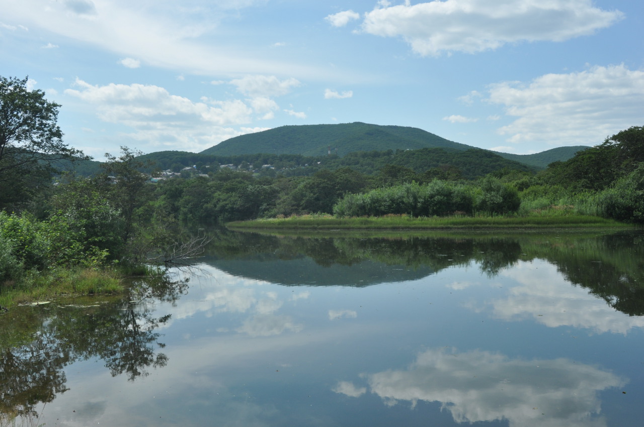 Терней, image of landscape/habitat.
