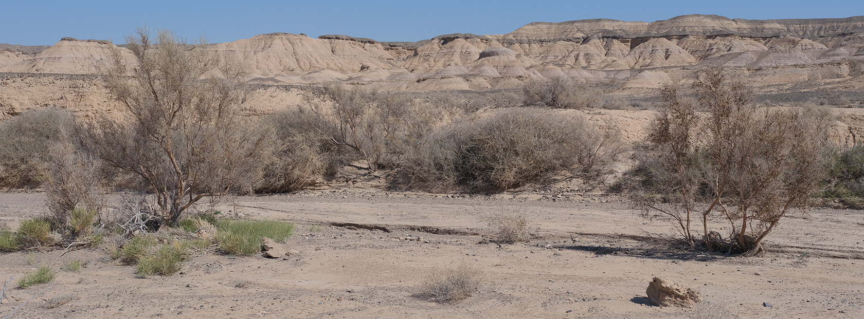 Сарымсакты, image of landscape/habitat.
