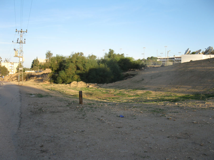 Пустырь в Беэр-Шеве, image of landscape/habitat.