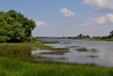 Вершина дельты Волги, image of landscape/habitat.