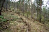 Image of landscape