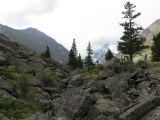 Image of landscape