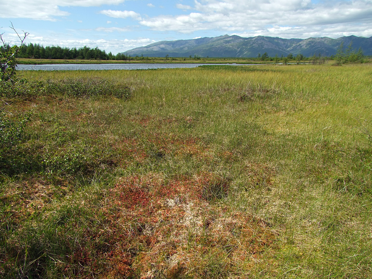 Глухое, image of landscape/habitat.