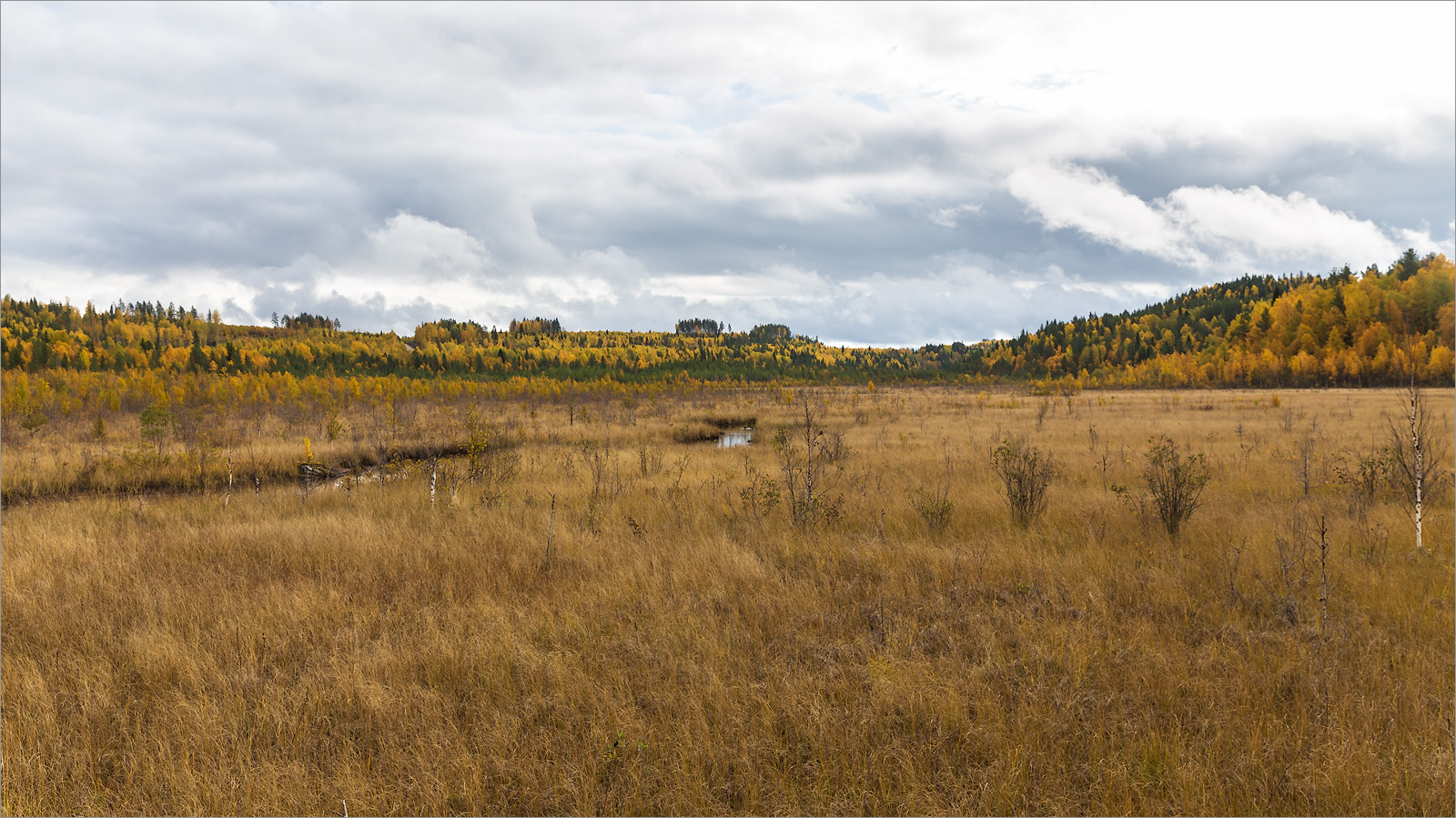 Сегозеро, image of landscape/habitat.