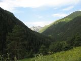 Image of landscape