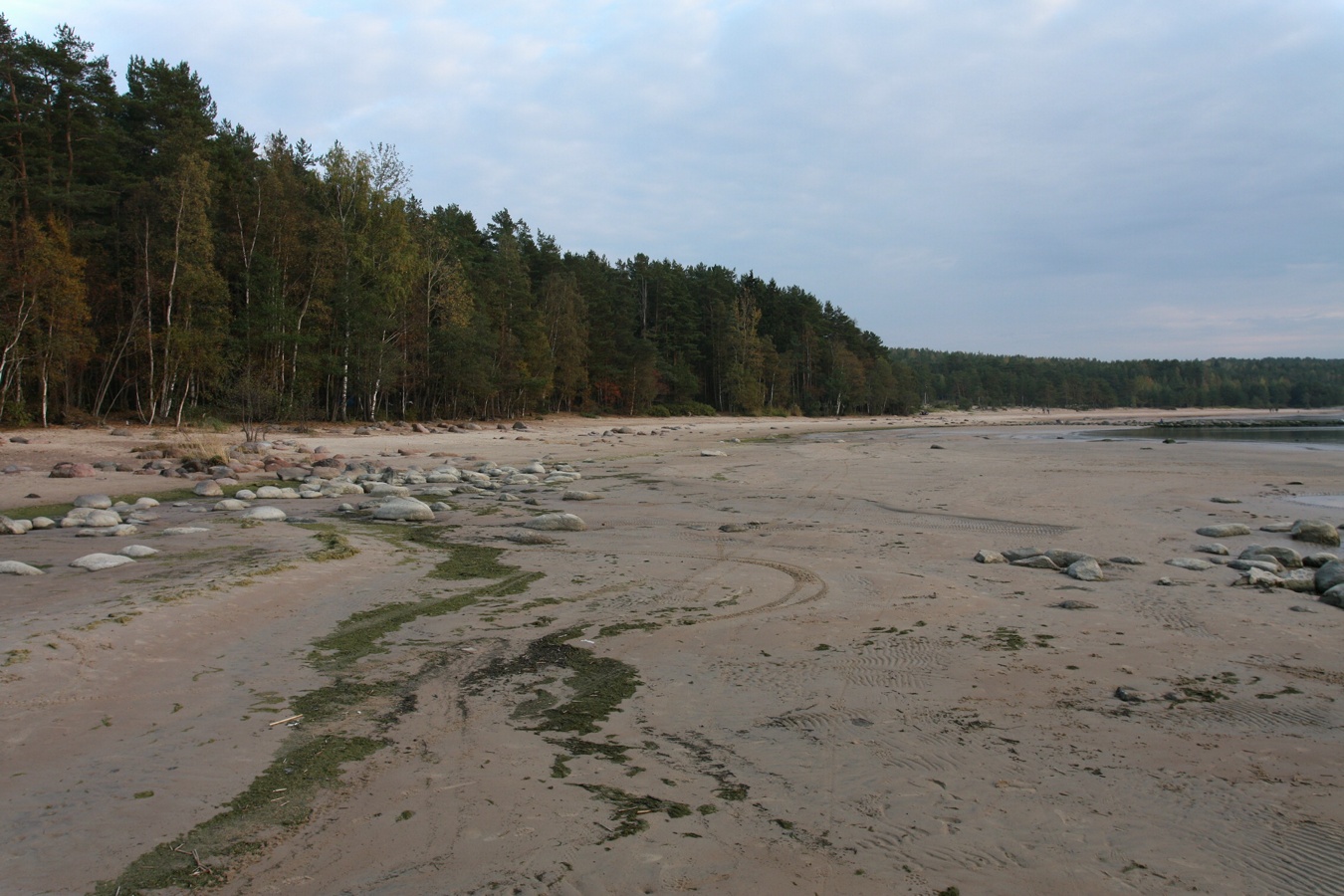 Батарейная бухта, image of landscape/habitat.