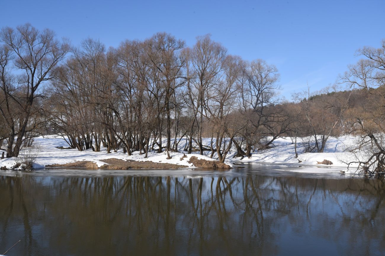 Окрестности деревни Сатино, image of landscape/habitat.