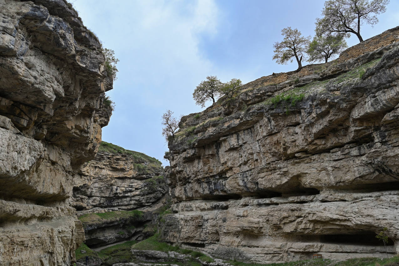 Салтинская теснина, image of landscape/habitat.