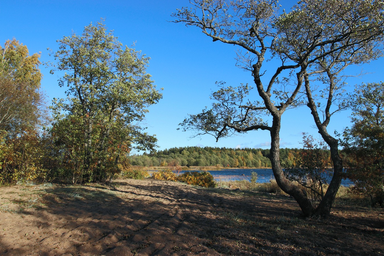 Каравалдай, image of landscape/habitat.