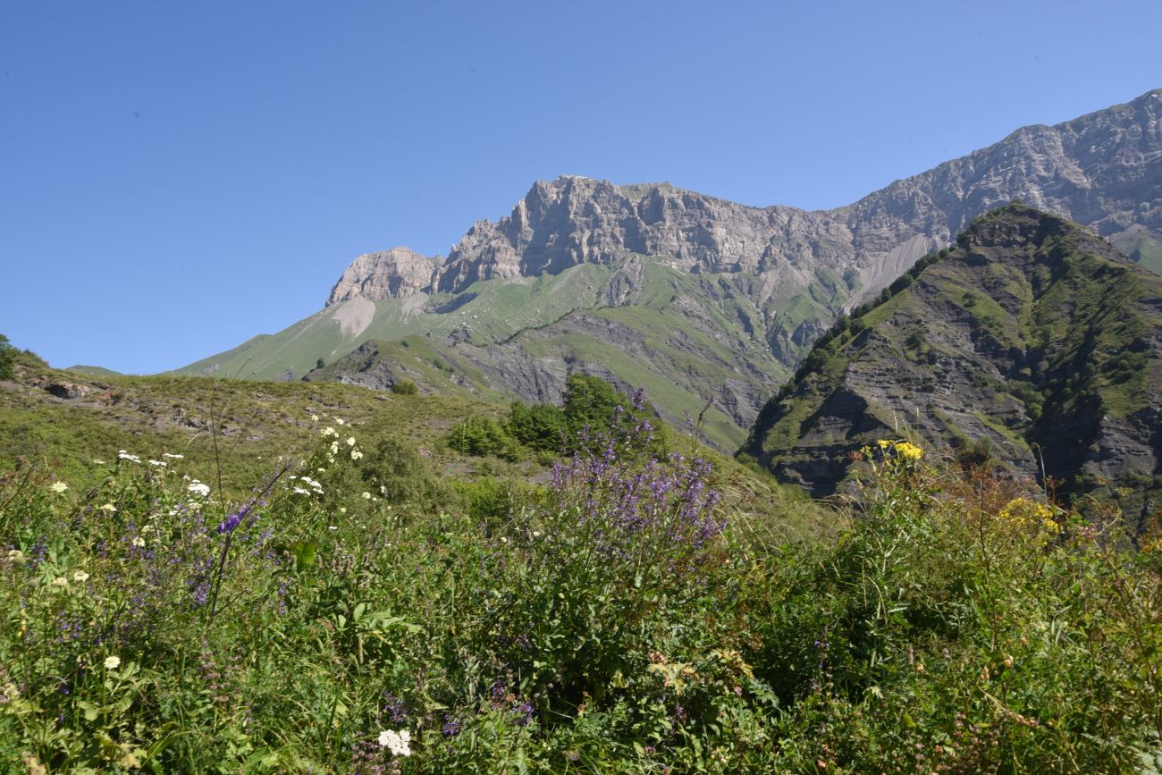 Окрестности водопада Цеси, image of landscape/habitat.