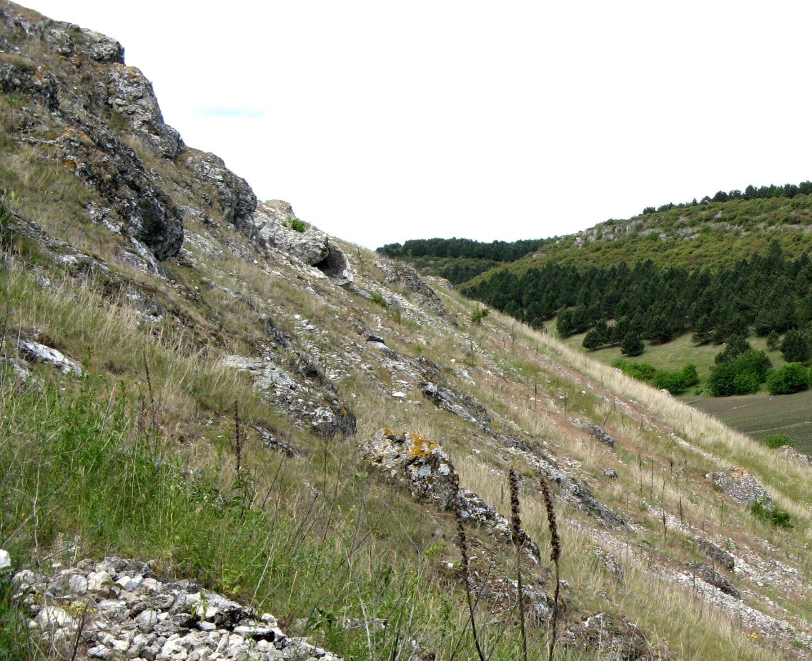 Фетешть, image of landscape/habitat.