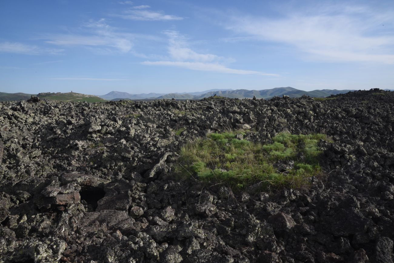 Окрестности Зиярет-Тепеси, image of landscape/habitat.
