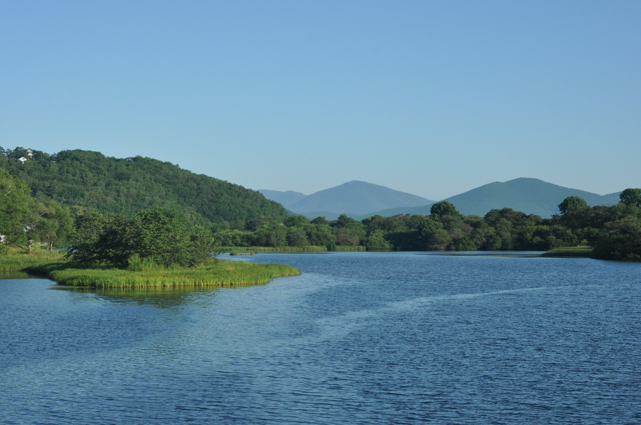 Терней, image of landscape/habitat.