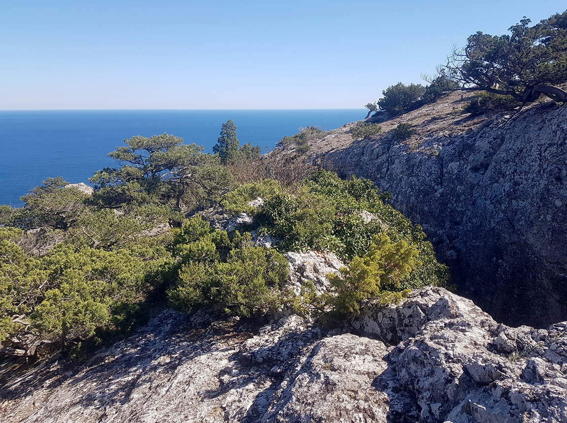 Караул-Оба, image of landscape/habitat.