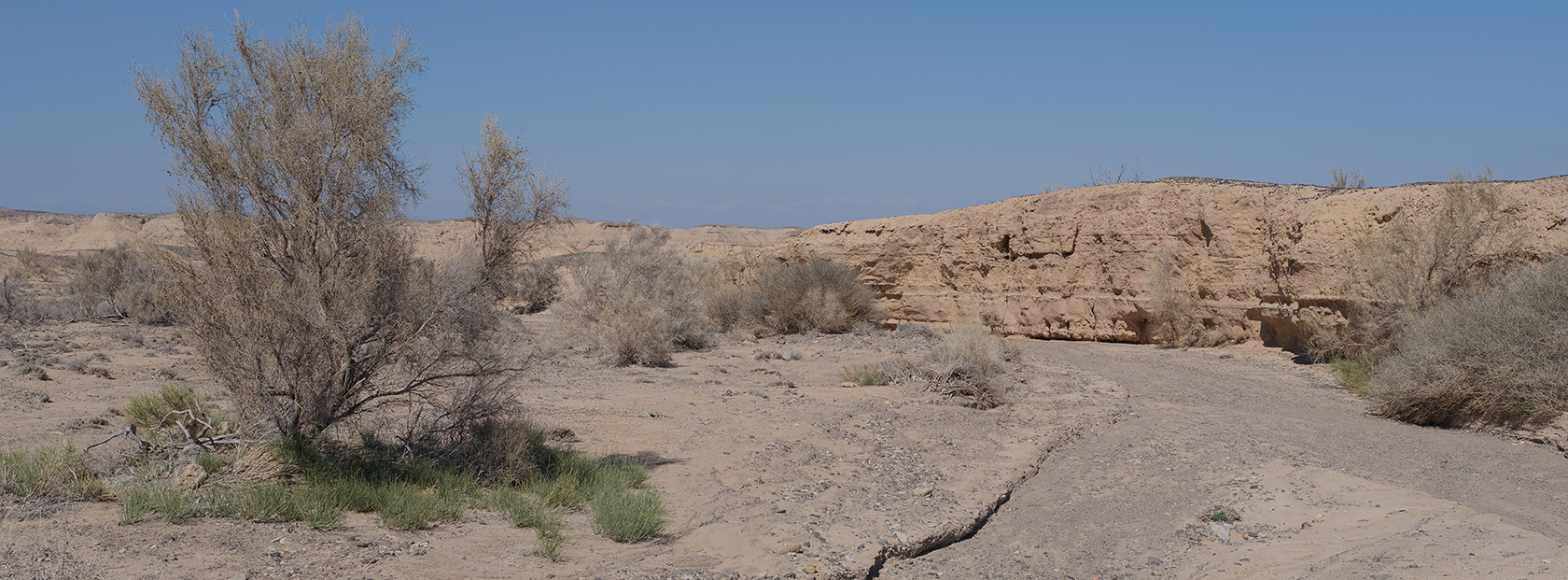 Сарымсакты, image of landscape/habitat.