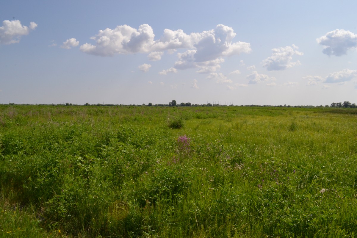 Вершина дельты Волги, image of landscape/habitat.