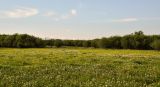 Image of landscape