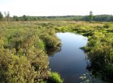 НП Мещёра, image of landscape/habitat.