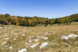 Ай-Петринская яйла, image of landscape/habitat.