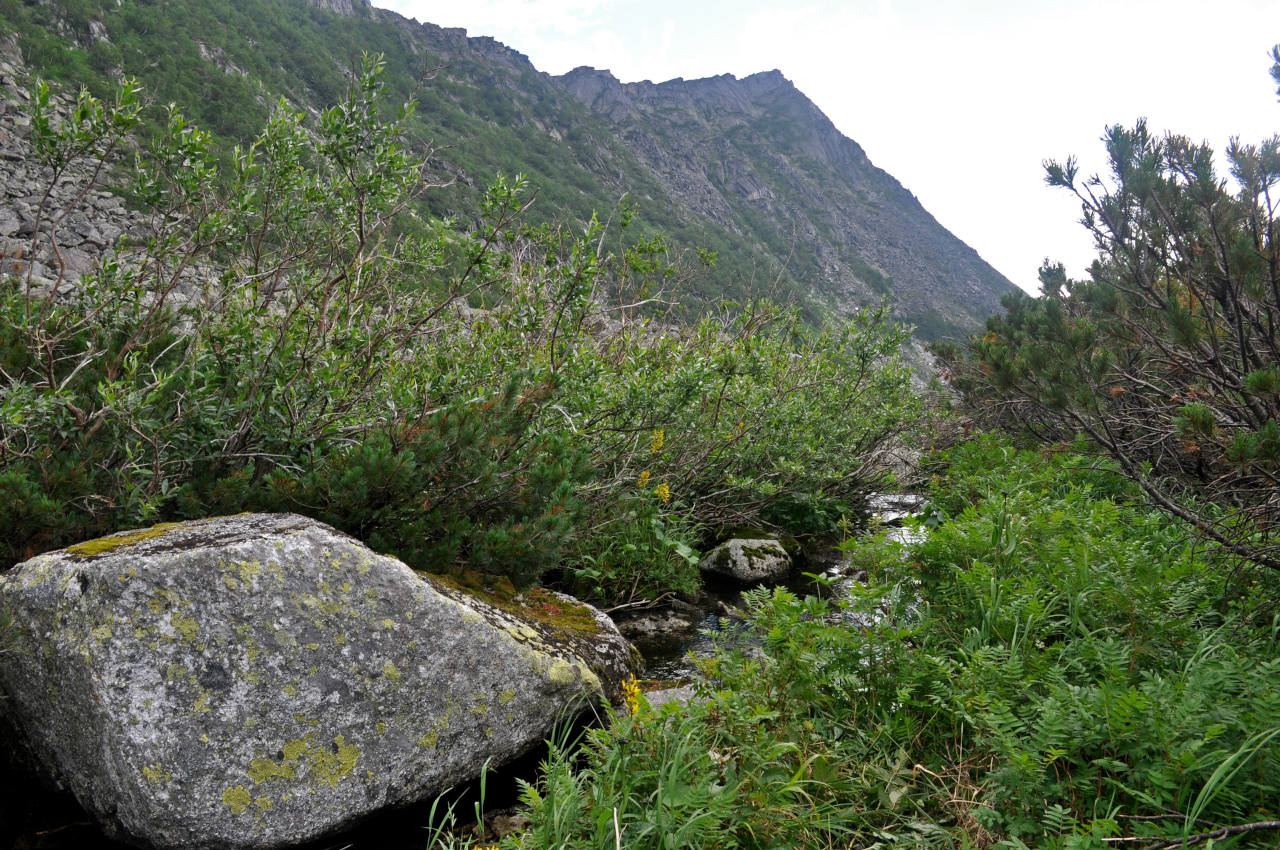 Озеро Горное, image of landscape/habitat.