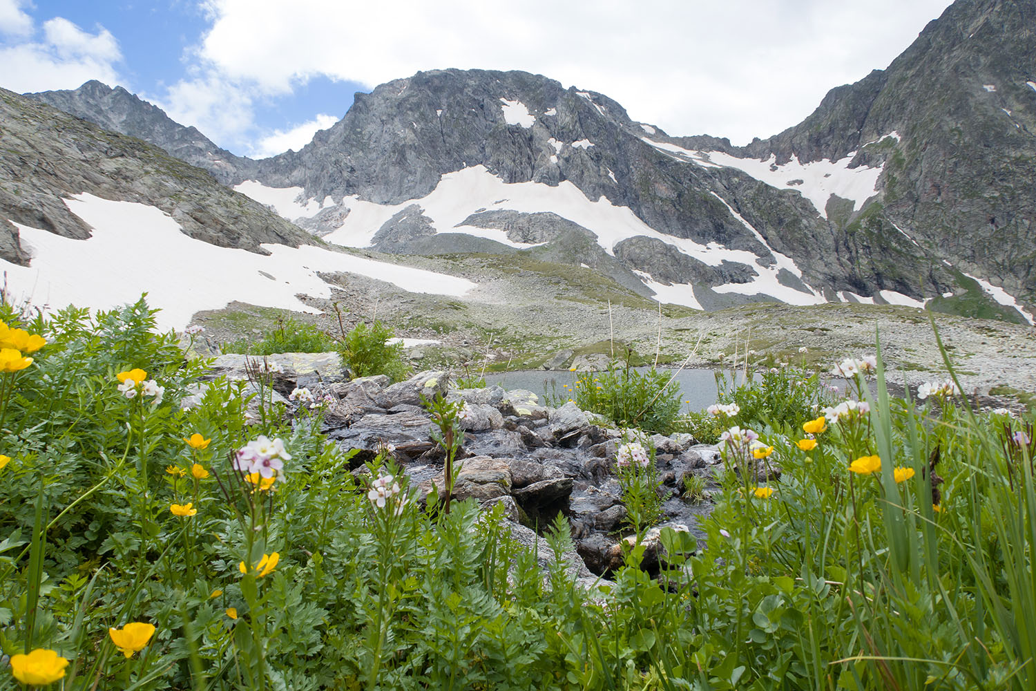 Ривьера, image of landscape/habitat.