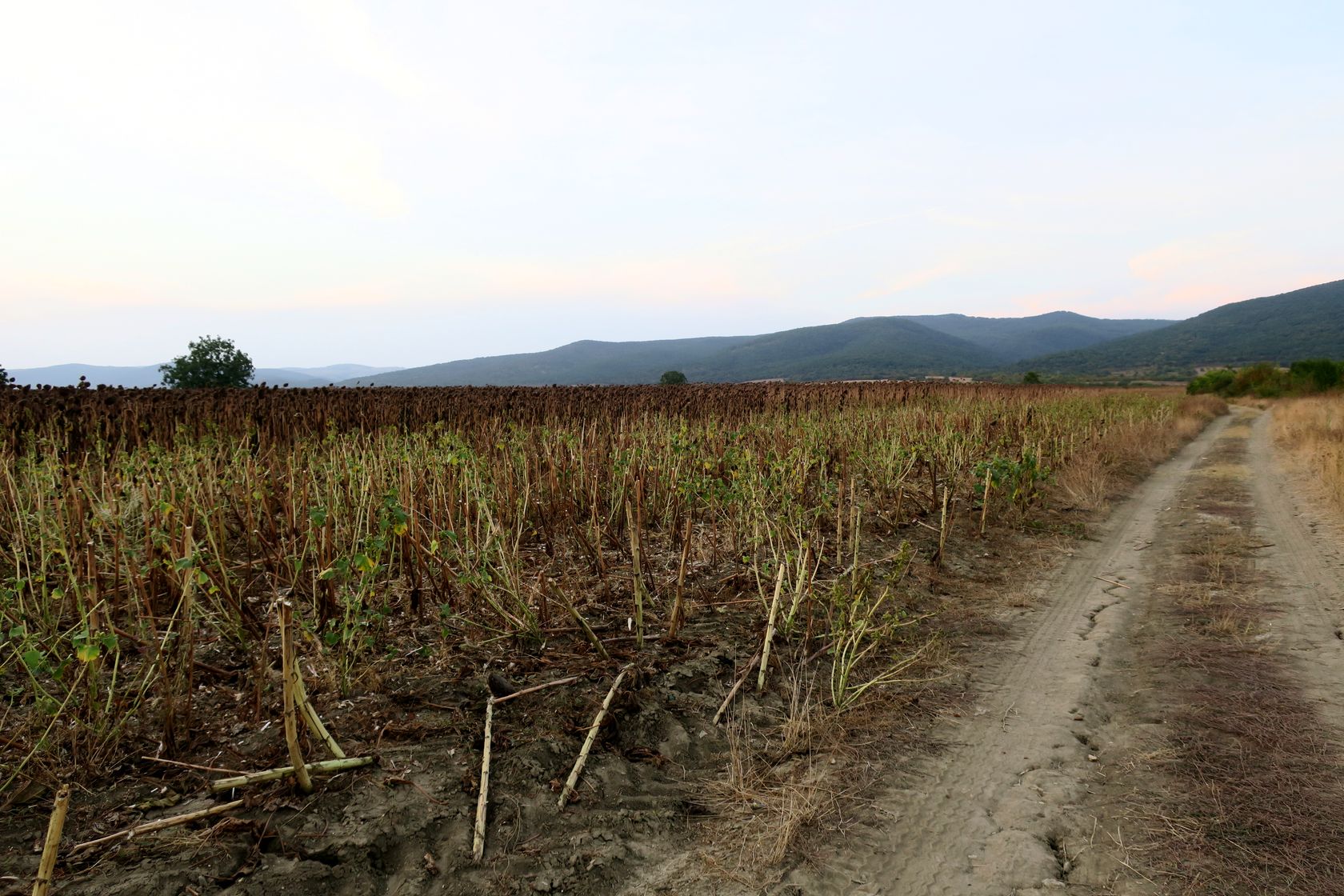 Оризаре, image of landscape/habitat.