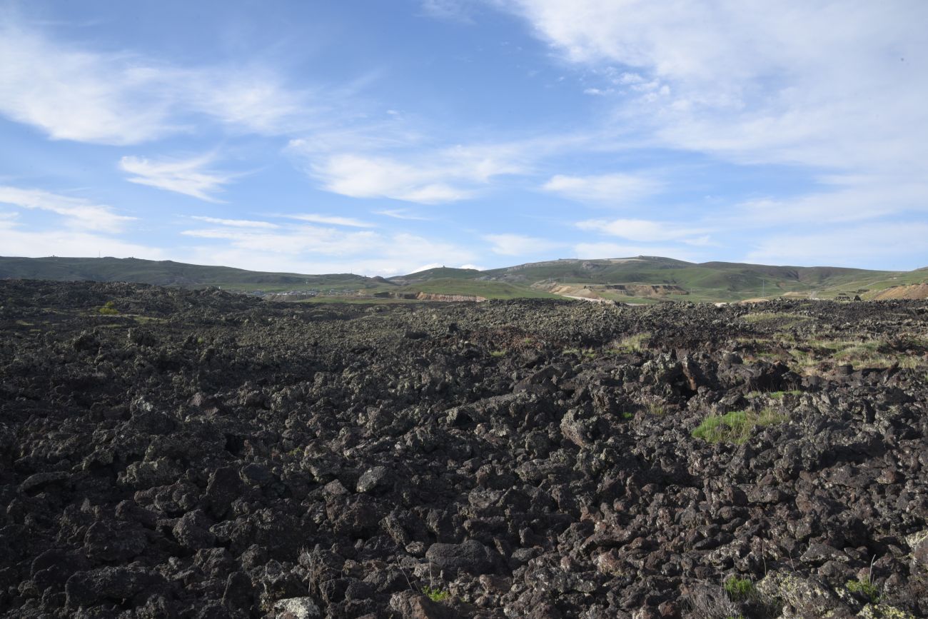 Окрестности Зиярет-Тепеси, image of landscape/habitat.
