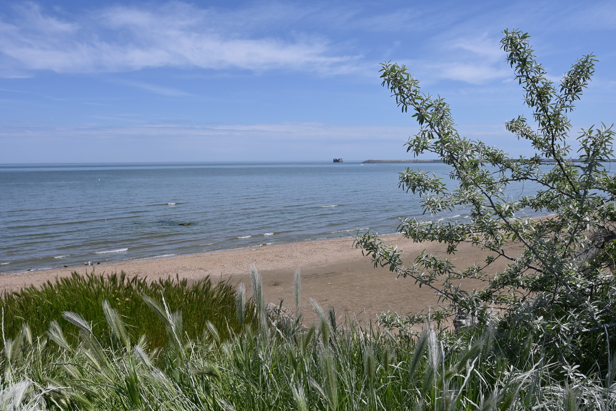 Каспийск, image of landscape/habitat.