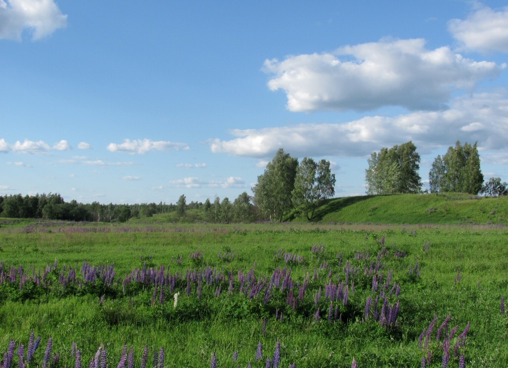 Жарь, image of landscape/habitat.