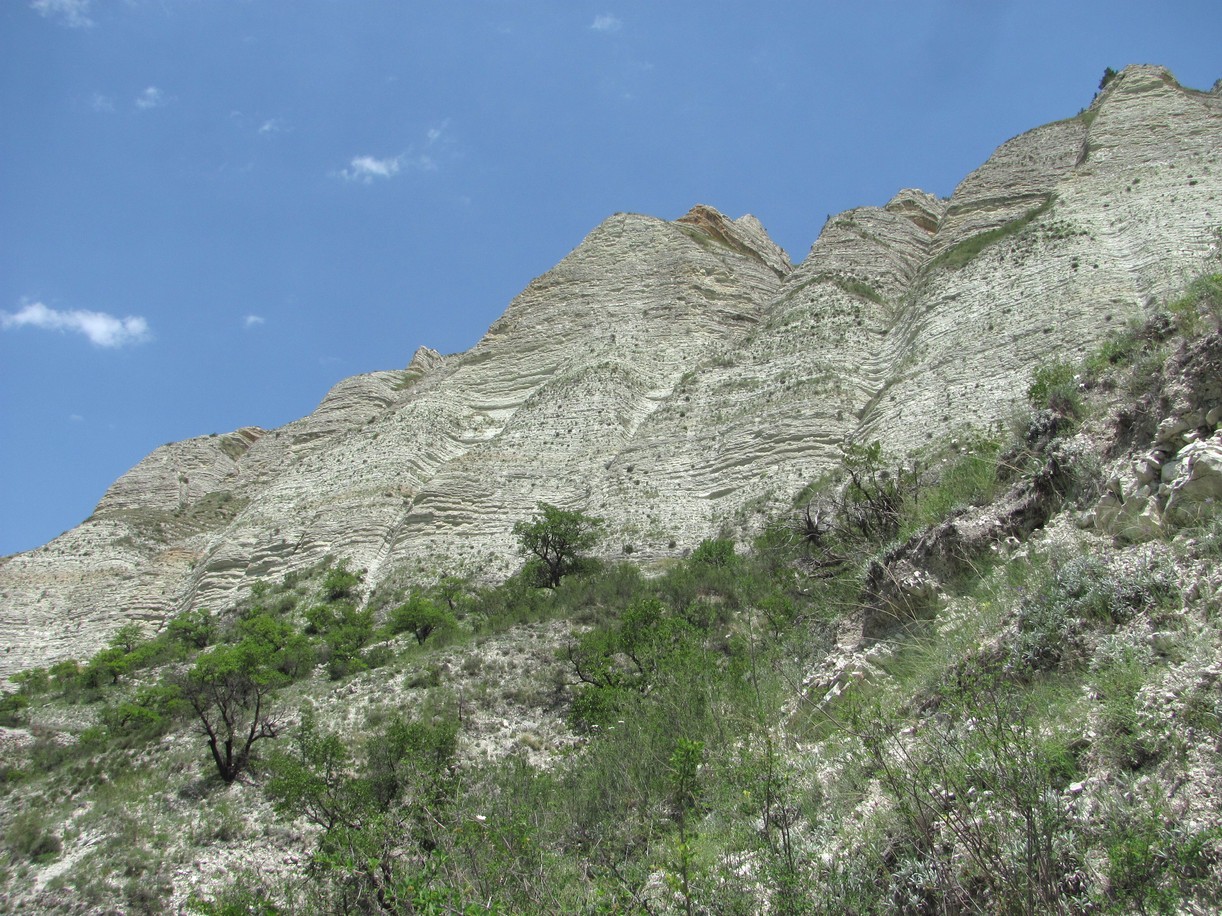 Цудахар, image of landscape/habitat.