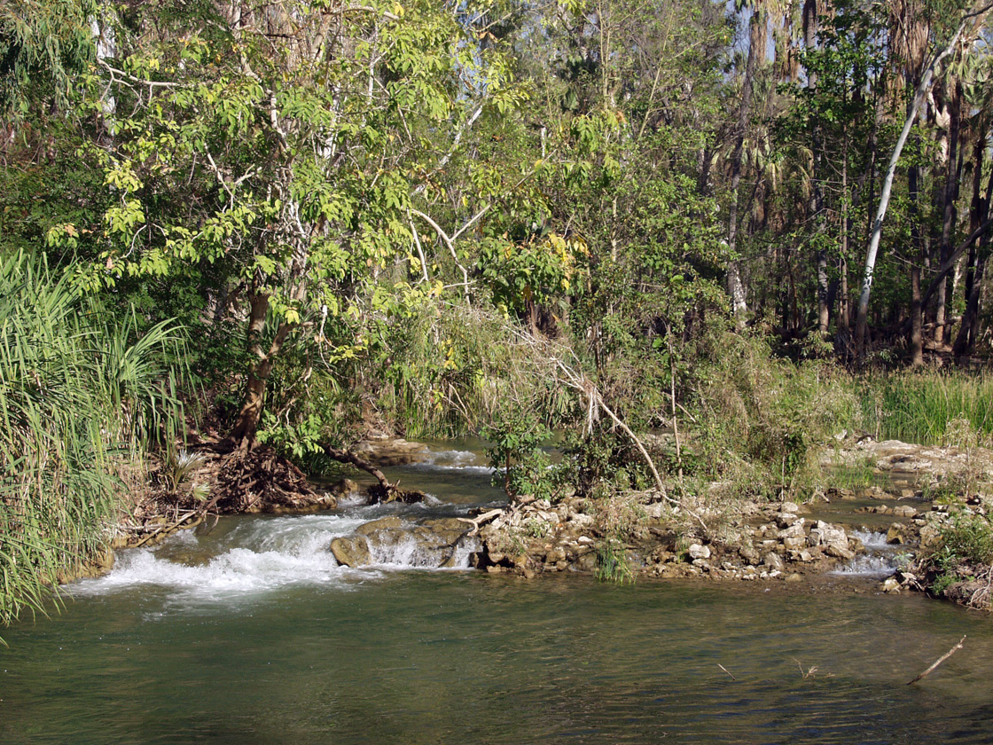 Boodjamulla (Lawn Hill), image of landscape/habitat.