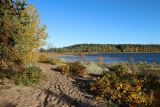 Шепелёвский маяк, image of landscape/habitat.