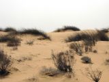 Image of landscape