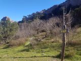 Караул-Оба, image of landscape/habitat.