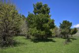 Image of landscape