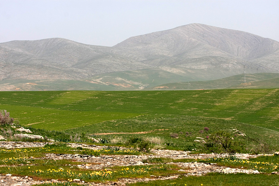 Ущелье Машат, image of landscape/habitat.