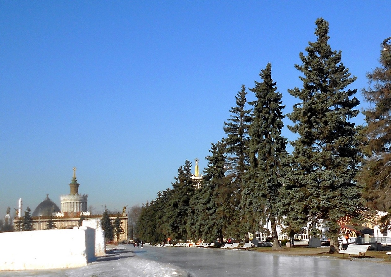 ВДНХ (ВВЦ), image of landscape/habitat.