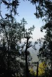 Image of landscape