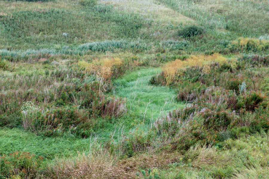 Урочище Каменная Балка, image of landscape/habitat.