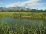 Глухое, image of landscape/habitat.