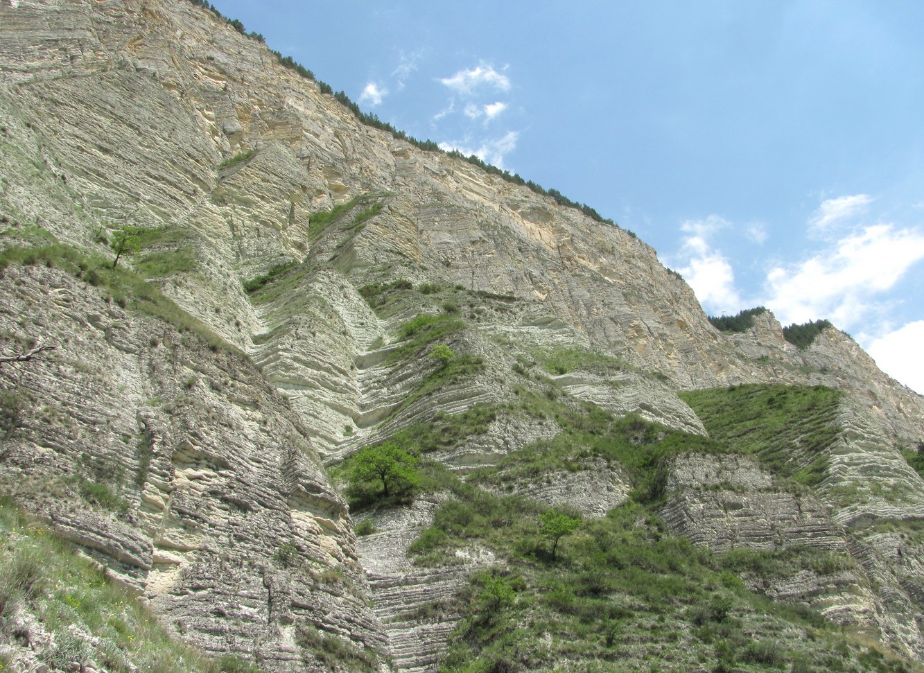 Цудахар, image of landscape/habitat.