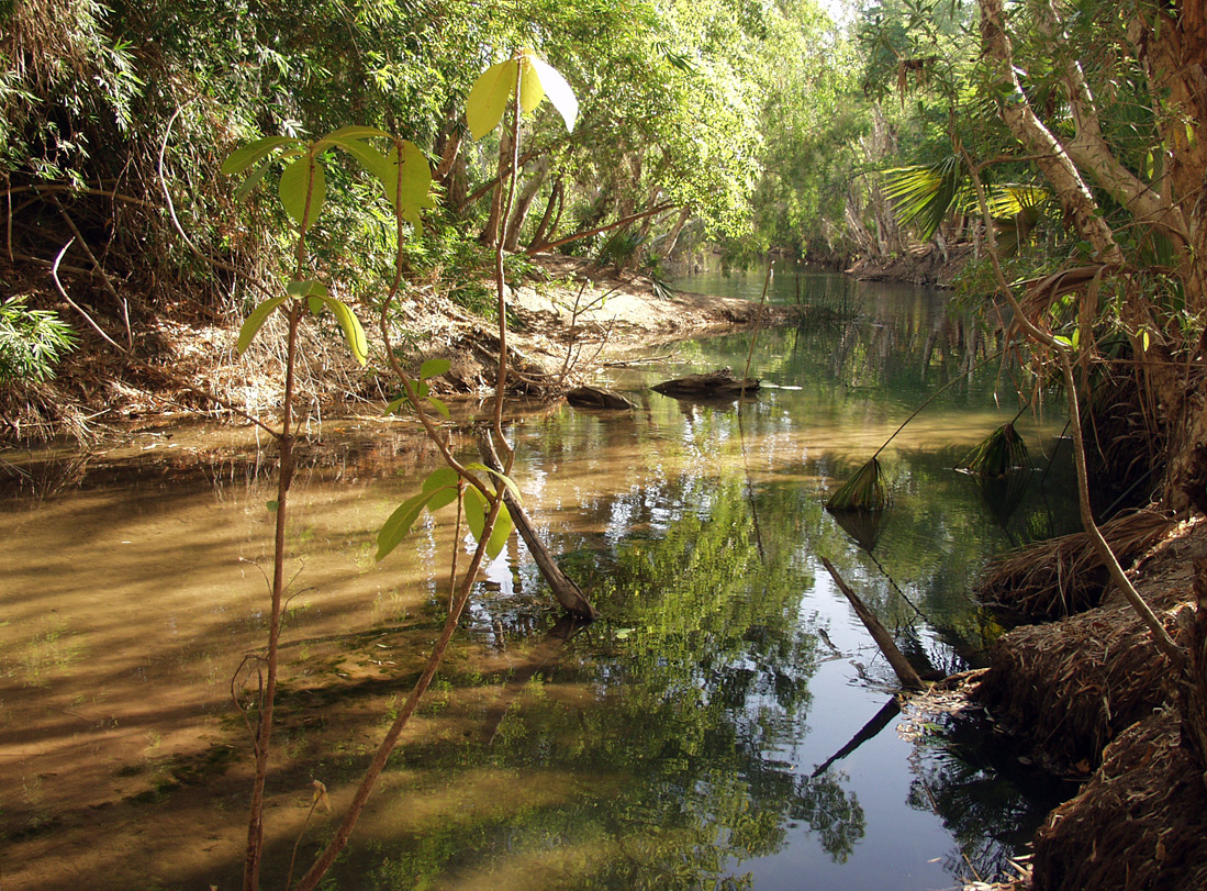 Boodjamulla (Lawn Hill), image of landscape/habitat.