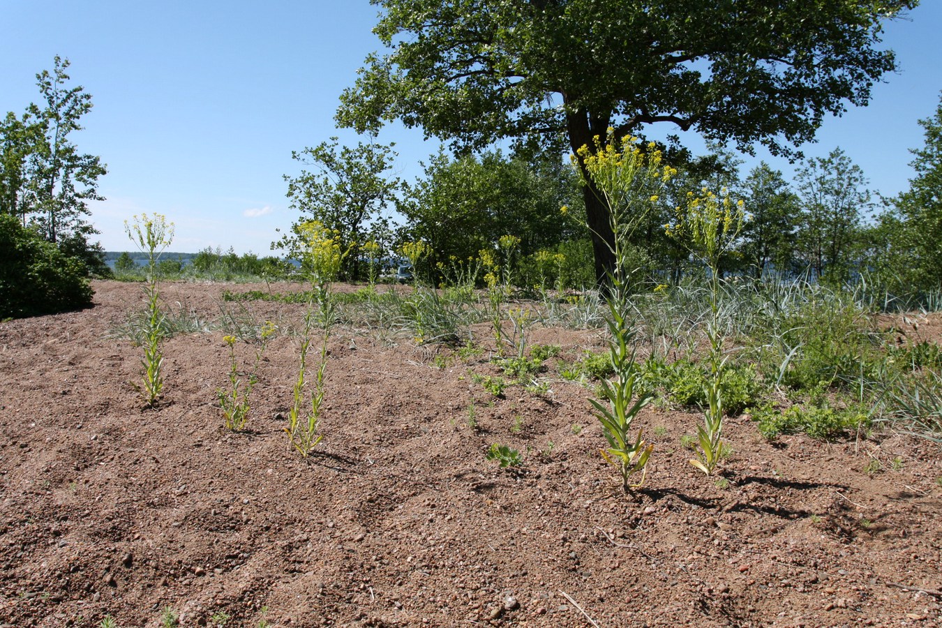 Каравалдай, image of landscape/habitat.